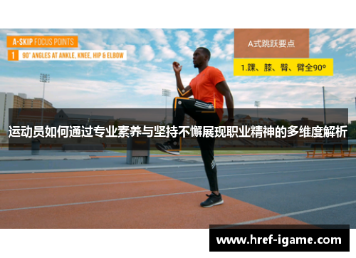 运动员如何通过专业素养与坚持不懈展现职业精神的多维度解析